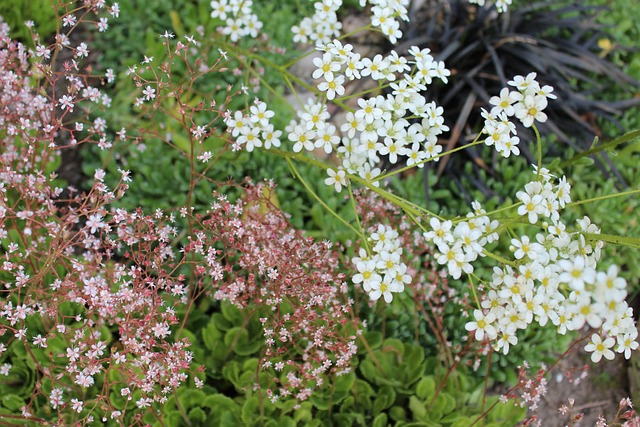 纳森