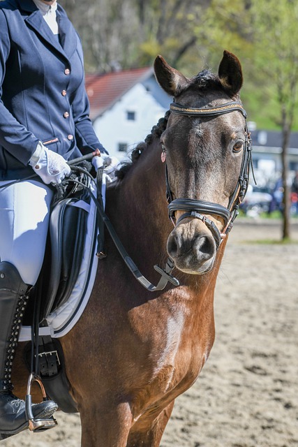 尤其在安菲 尤其在安菲
