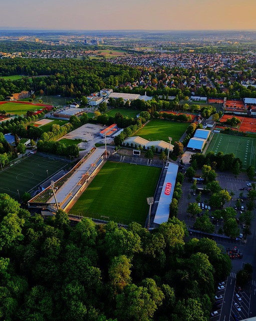 伞课程分为 伞课程分为