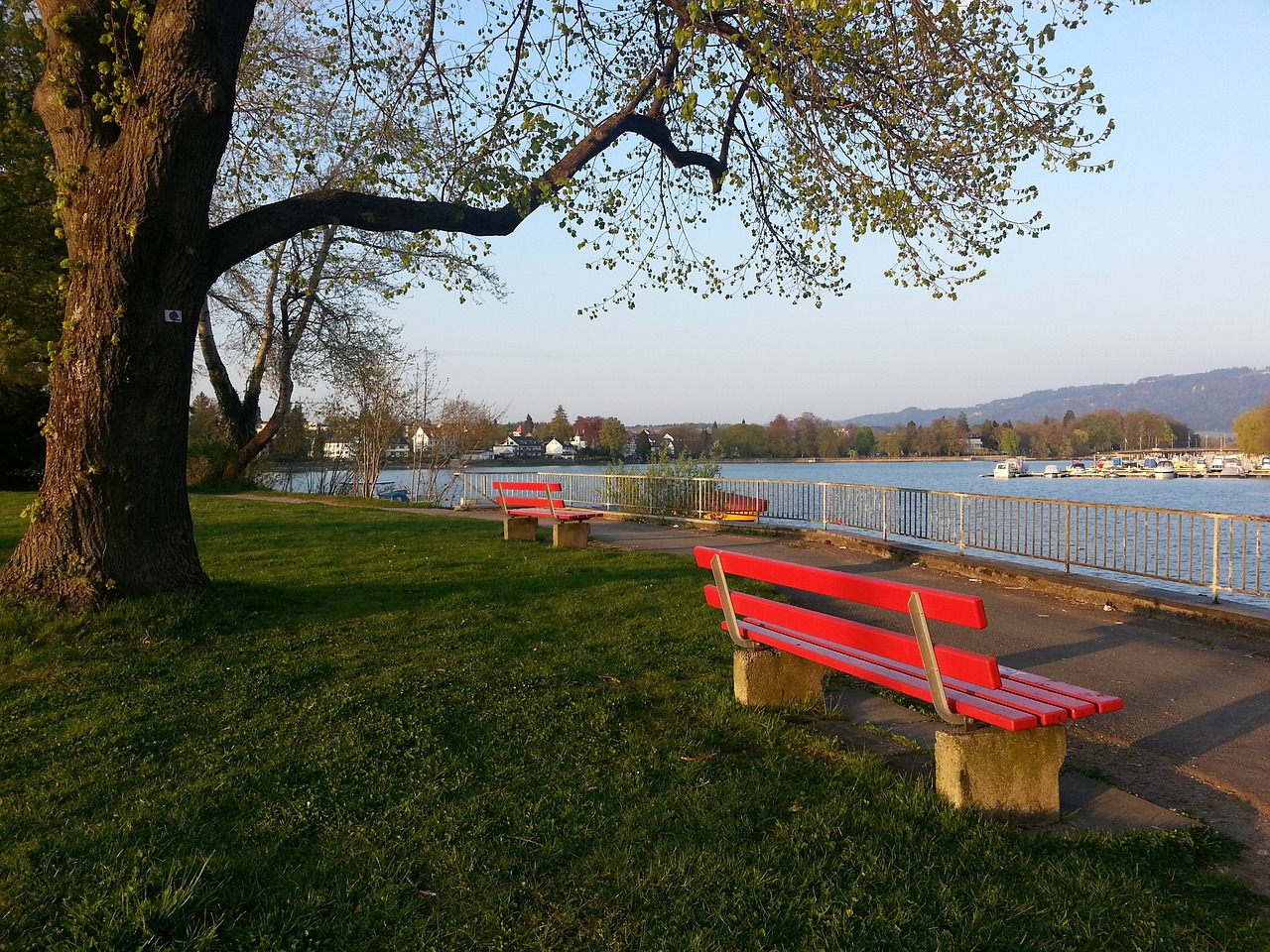 他将如何继 他将如何继