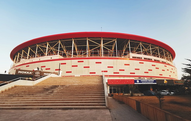 在球场上 在球场上