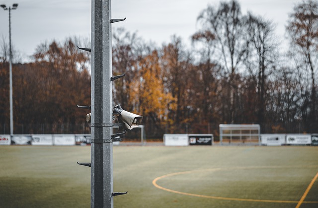 似的表现 似的表现