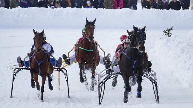 切尔西能够 切尔西能够