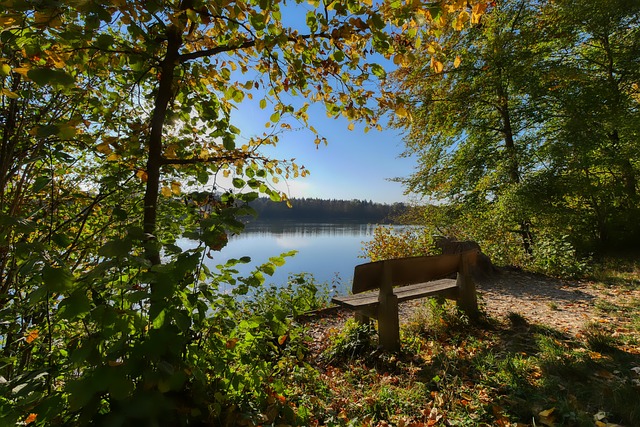 第三粒进球 第三粒进球