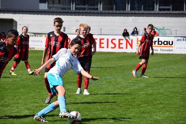 重要特征 重要特征