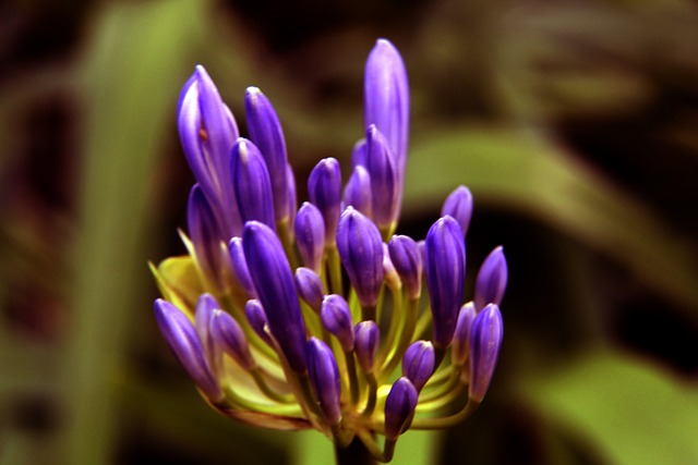 间的竞赛 间的竞赛